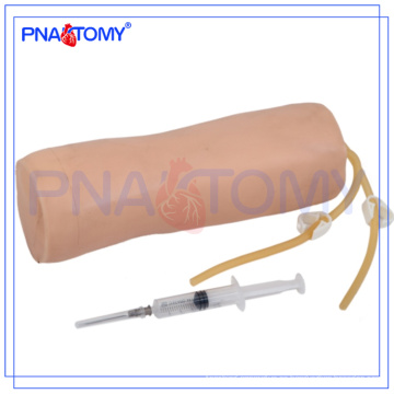 PNT-TA012 Brazo de entrenamiento avanzado de transfusión intravenosa de codo